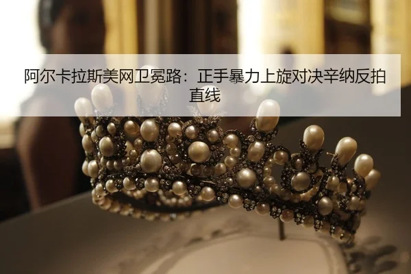 a-er-ka-la-si-mei-wang-wei-mian-lu-zheng-shou-bao-li-shang-xuan-dui-jue-xin-na-fan-pai-zhi-xian-2-180.jpg