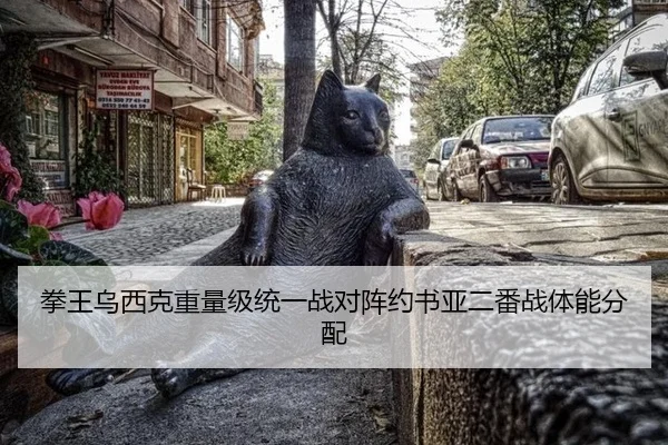 拳王乌西克重量级统一战对阵约书亚二番战体能分配