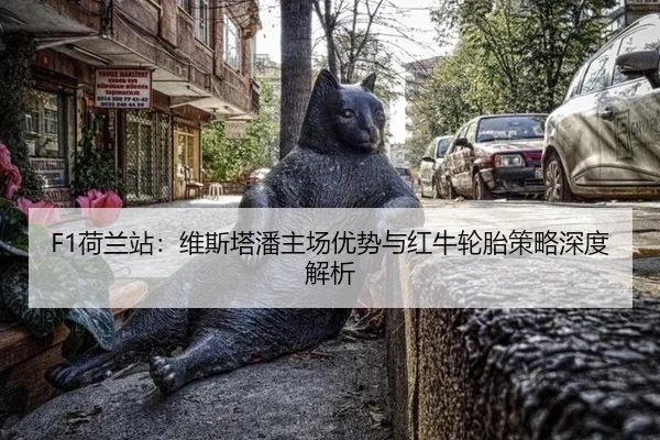 he-lan-zhan-wei-si-ta-pan-zhu-chang-you-shi-yu-hong-niu-lun-tai-ce-lve-shen-du-jie-xi-2-321.jpg