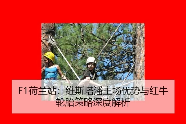 F1荷兰站：维斯塔潘主场优势与红牛轮胎策略深度解析